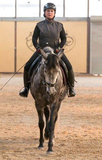 Reitunterricht bei Katrin Theis Beritt