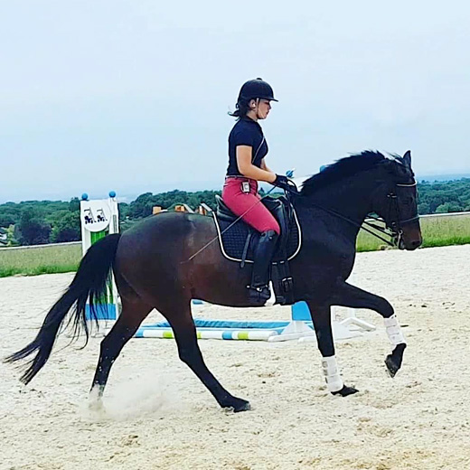 Reitunterricht bei Reitlehrer-NRW